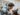 Teen Wolf and Maze Runner star Dylan O'Brien seen with dog in Love and Monsters Netflix film, 2021