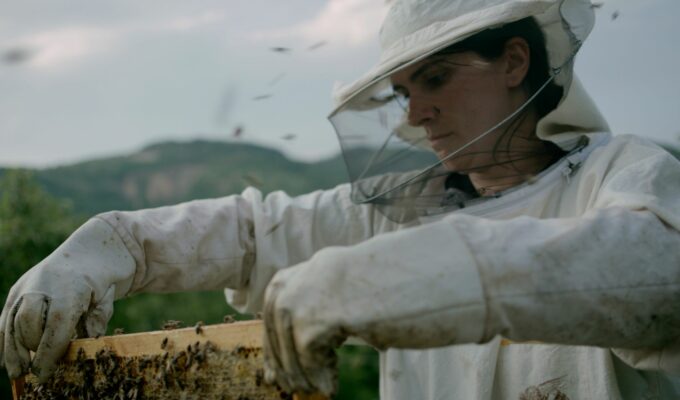 Hive drama film directed by Blerta Basholli