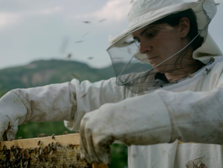 Hive drama film directed by Blerta Basholli