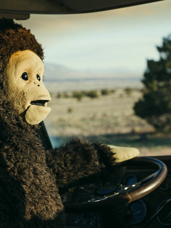 nina conti in sunlight 2024